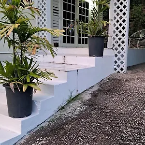 Rain Homestay